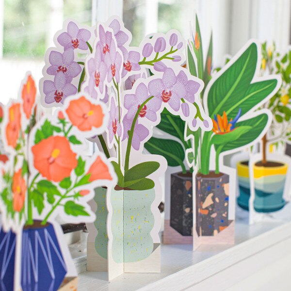 Orchid Paper Plant 2